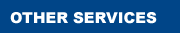 Online Service Development